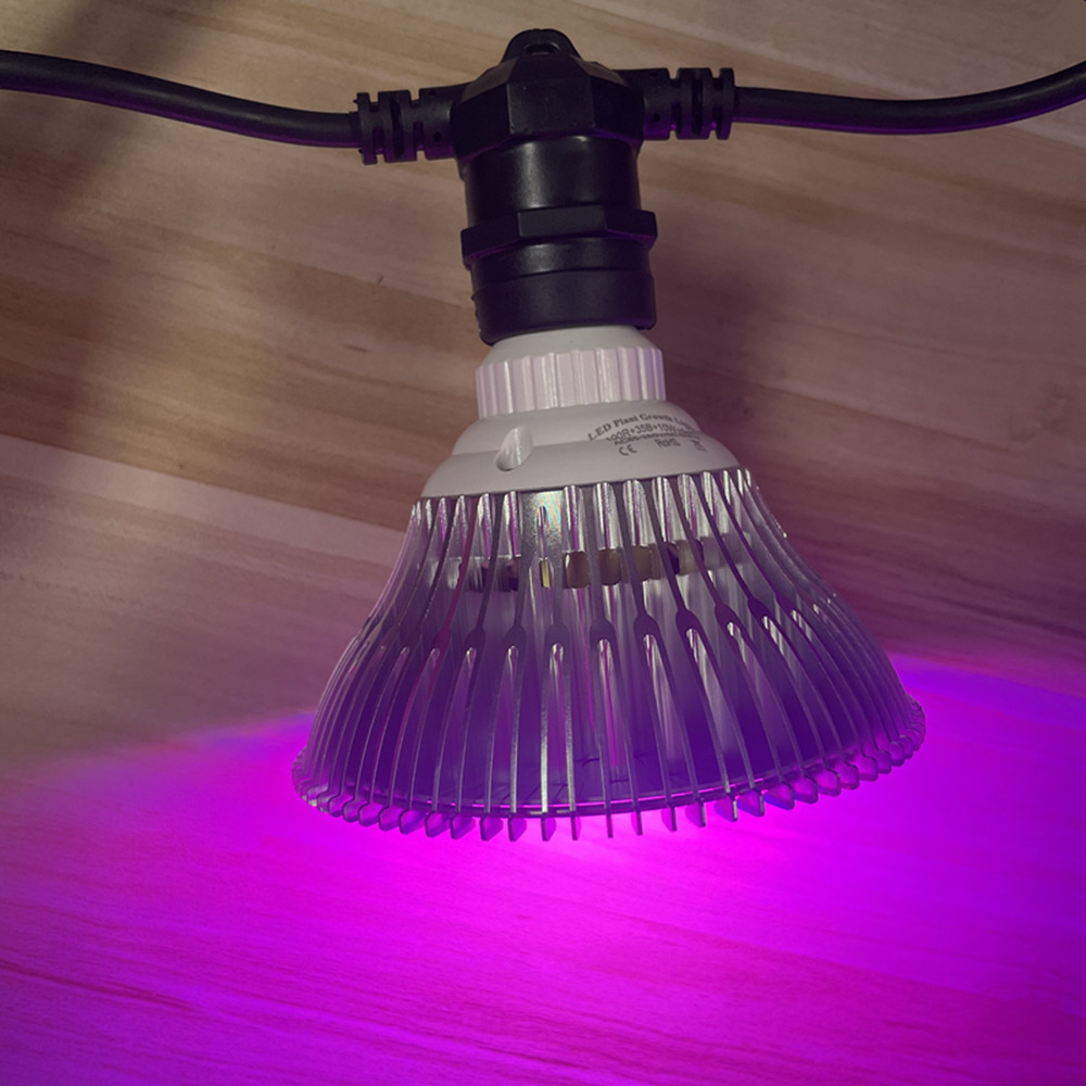 10M Cable LED String Commercia - Outdoor Lighting And Landscape recension och pris